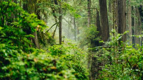 中孚卦婚姻结局_婚姻卦怎么断_婚姻的卦