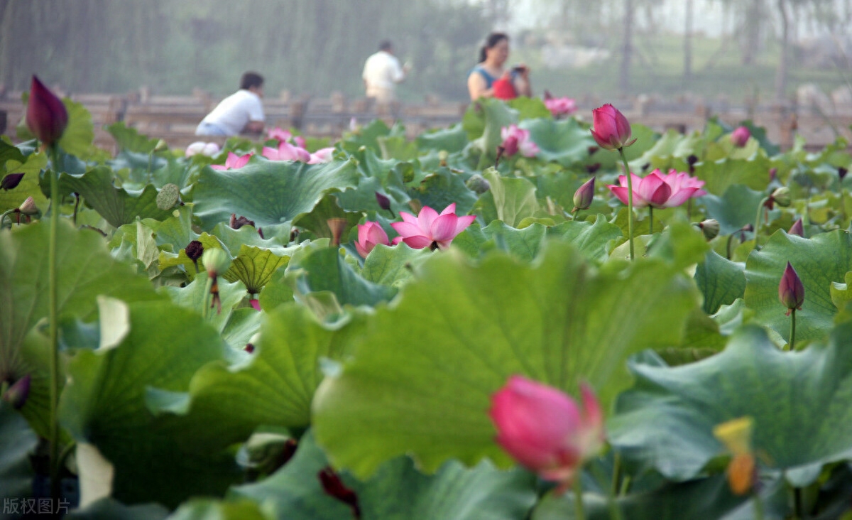 风水涣卦寻人详解_风水涣卦变风泽中孚_风水涣变风泽中孚卦寻人案例