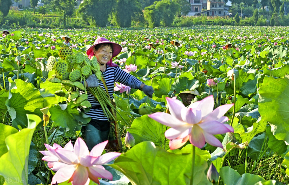 风水涣变风泽中孚卦寻人案例_风水涣卦变风泽中孚_风水涣卦寻人详解