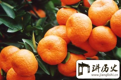 仙气缭绕下的仙山:武当山特产有哪些