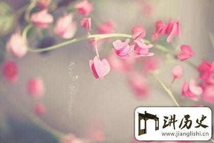 一花一世界,禅语感悟人生的句子赏析