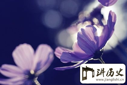 禅语典故推荐,用典故参透佛家道理