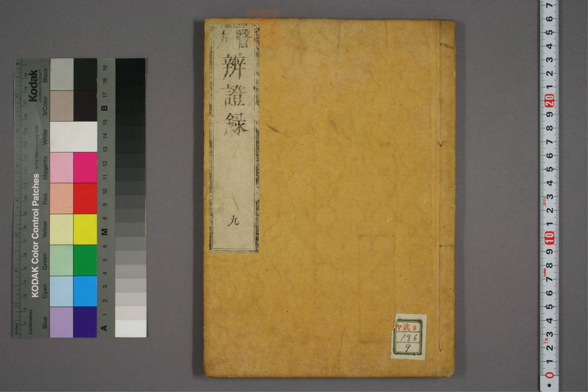 辨证录_古籍图_第9册_第389页