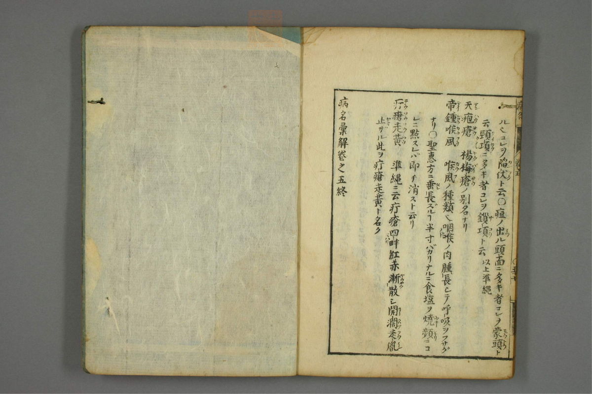 病名汇解_古籍图_第5册_第249页