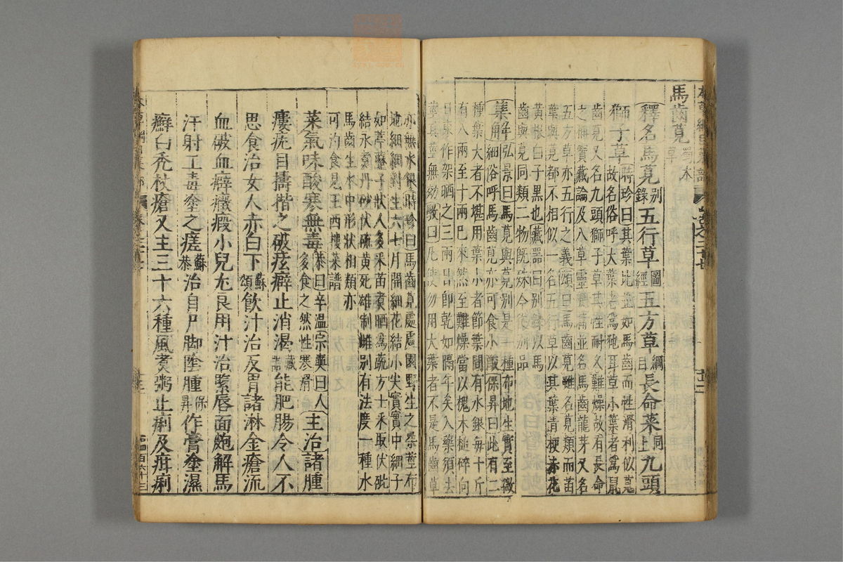 本草纲目_古籍图_第17册_第1910页