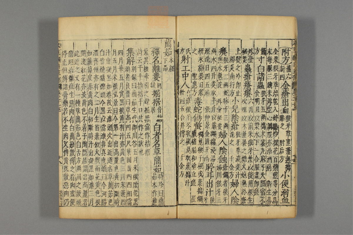 本草纲目_古籍图_第14册_第1395页