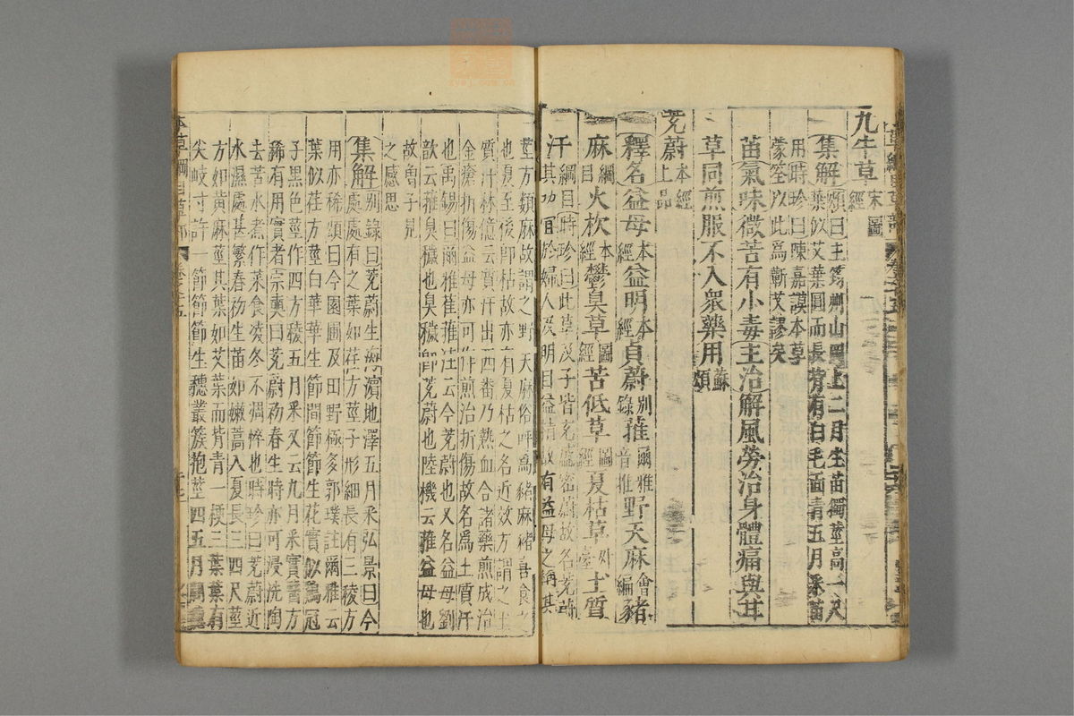 本草纲目_古籍图_第12册_第1206页