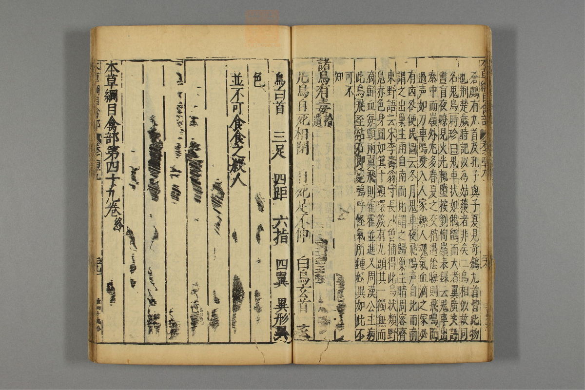 本草纲目_古籍图_第25册_第2905页