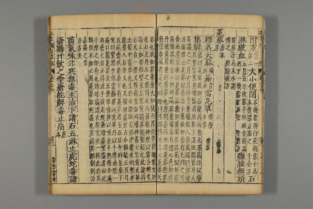 本草纲目_古籍图_第13册_第1307页