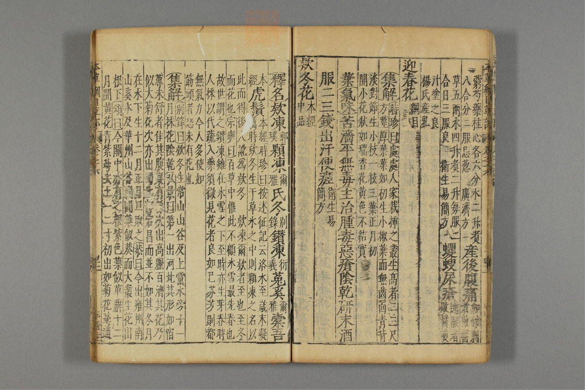 本草纲目_古籍图_第13册_第1317页