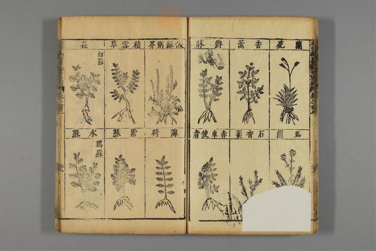 本草纲目_古籍图_第1册_第46页