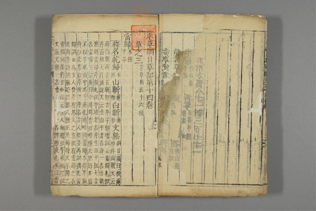 本草纲目_古籍图_第11册_第1078页