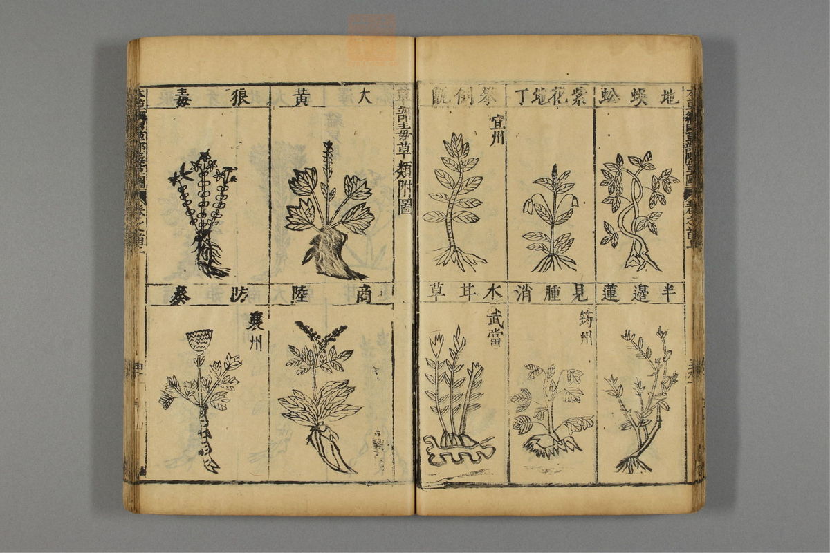 本草纲目_古籍图_第1册_第58页