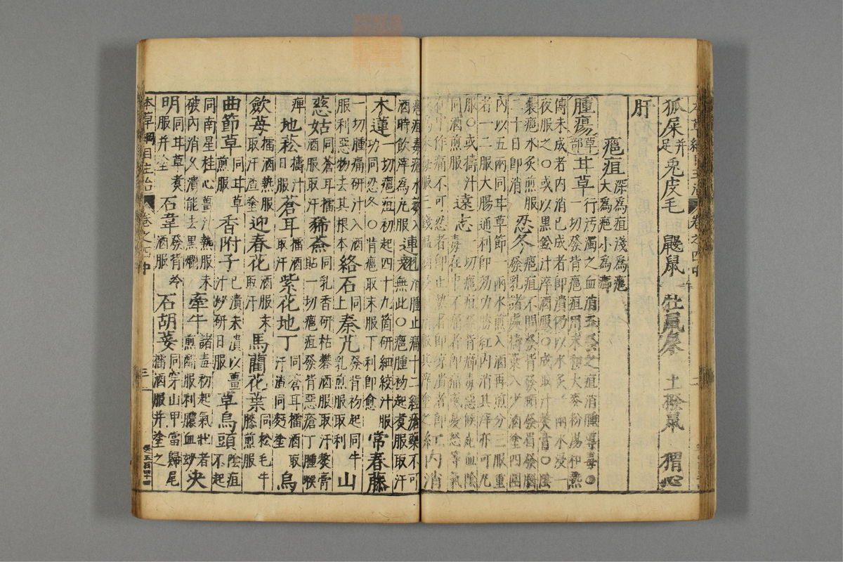 本草纲目_古籍图_第5册_第503页