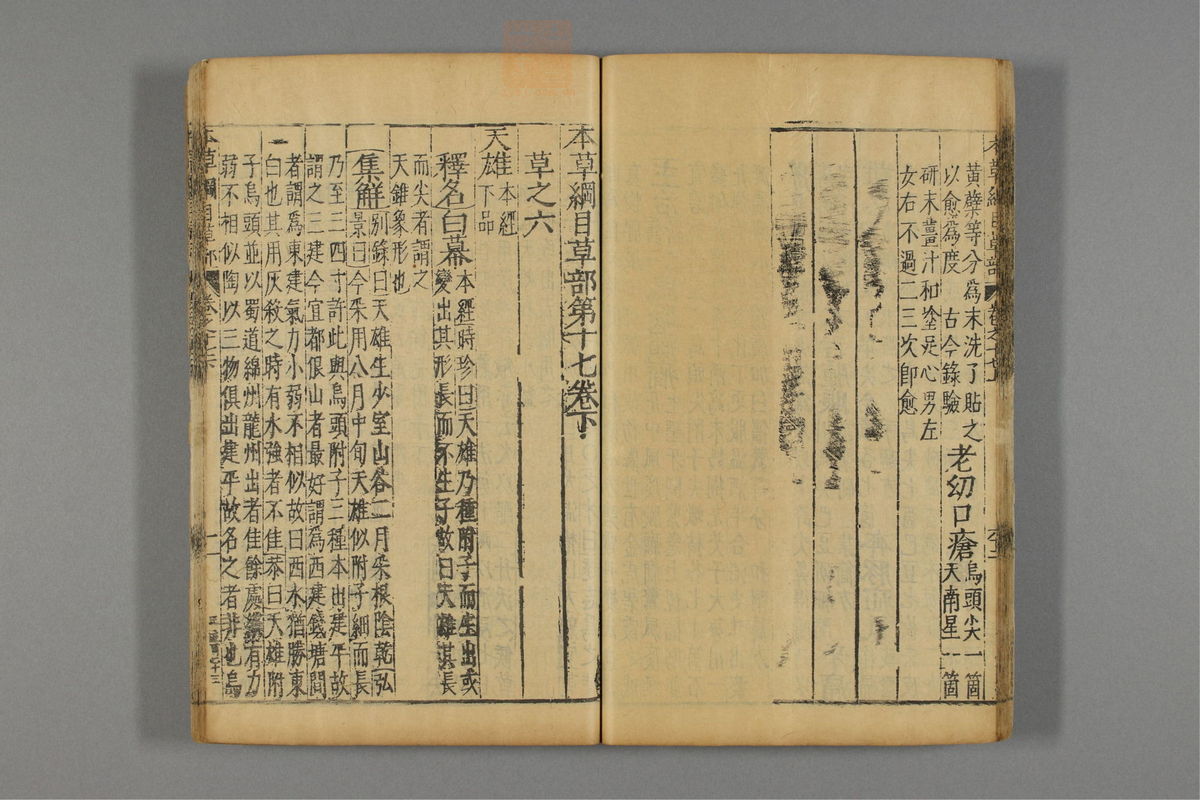 本草纲目_古籍图_第14册_第1440页