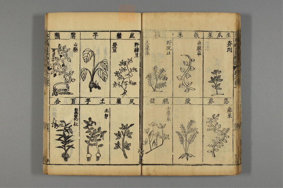 本草纲目_古籍图_第1册_第82页