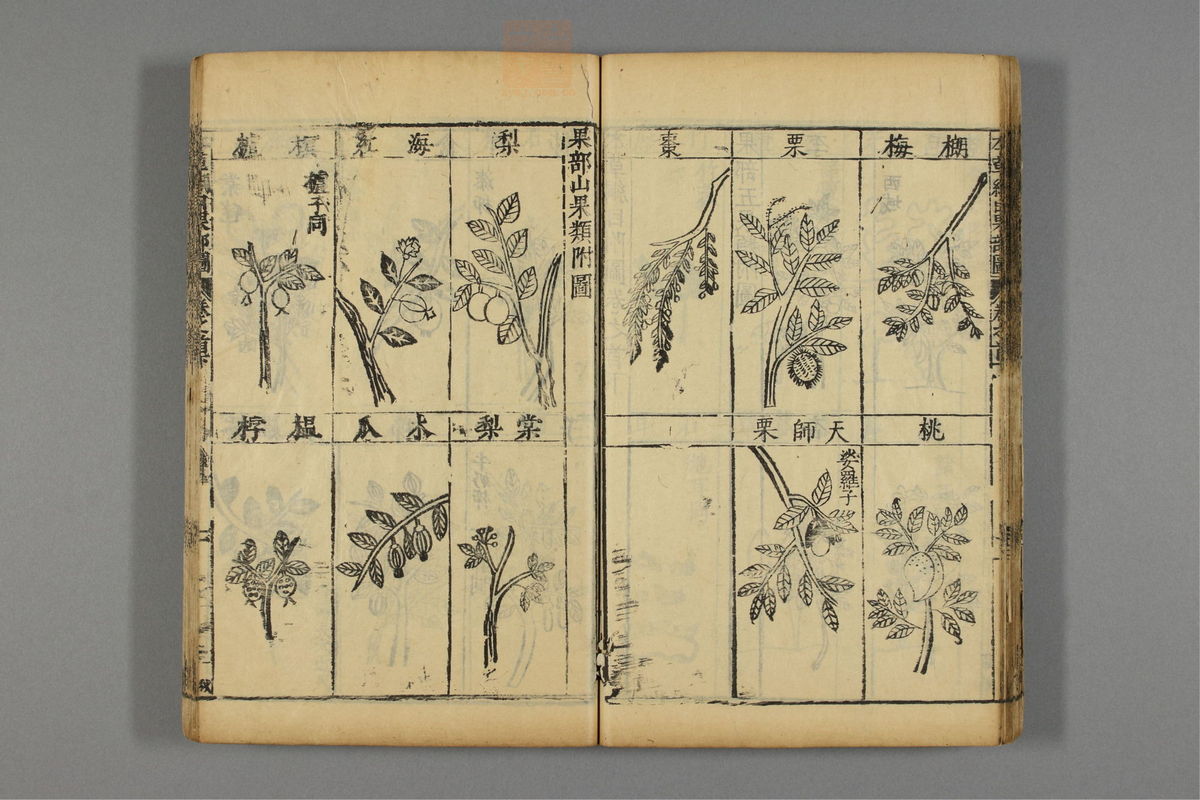 本草纲目_古籍图_第1册_第86页