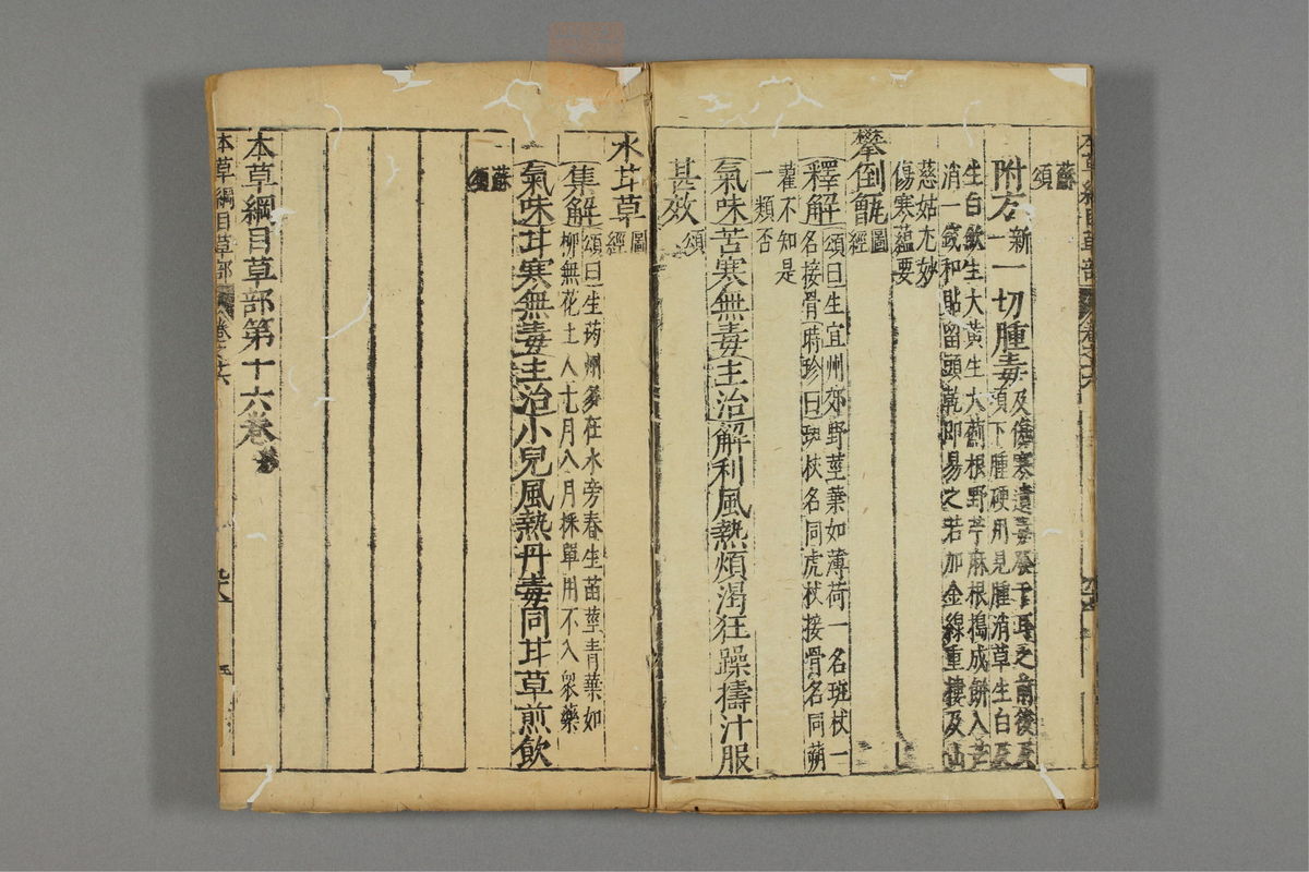 本草纲目_古籍图_第13册_第1374页