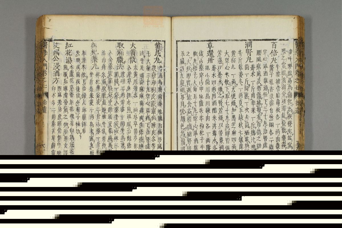 编注医学入门_古籍图_第8册_第925页